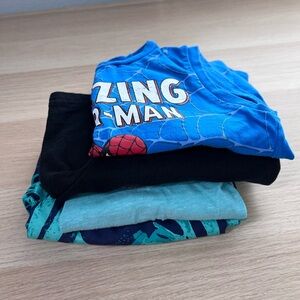 Boy’s Bundle Clothes Size 4T Spider-Man Tee Swim Shorts